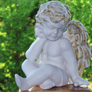 Meet Your Guardian Angel