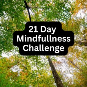 21 Day Mindfullness Challenge